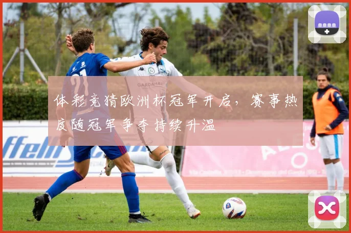 体彩竞猜欧洲杯冠军开启,赛事热度随冠军争夺持续升温