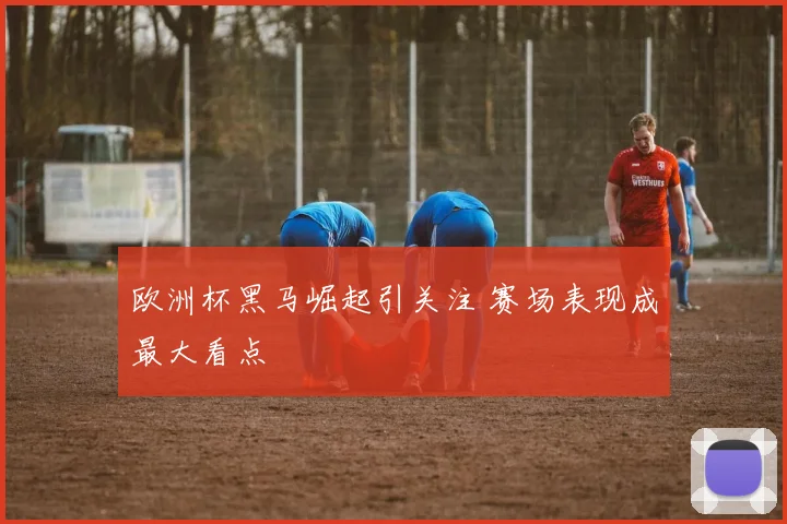 欧洲杯黑马崛起引关注 赛场表现成最大看点